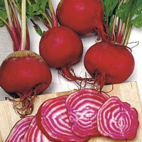 Graines potagères BETTERAVE Chioggia (Beta vulgaris) - Graineterie A. DUCRETTET