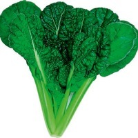 Graines potagères CHOUX ASIATIQUES DIVERS MISOME F1 (Brassica campestris narinosa) - Graineterie A. DUCRETTET