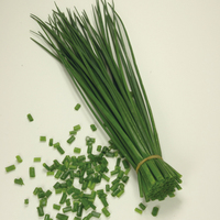 Graines potagères CIBOULETTE BIO POLYVERT rempl par POLYVIT - Graineterie A. DUCRETTET