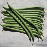 Graines potagères HARICOT A RAMES MANGETOUT VESPERAL (Phaseolus vulgaris) - Graineterie A. DUCRETTET