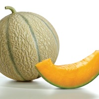 Graines potagères MELON SILVIO F1 remplacé par EDGAR F1 - Graineterie A. DUCRETTET