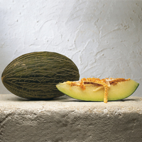 Graines potagères MELON KOVARDE F1 - Graineterie A. DUCRETTET