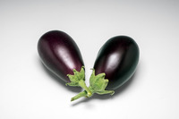  AUBERGINE AUBERGINE-BELLINI F1 (Solanum melongena)-Graines non traitées - Graineterie A. DUCRETTET