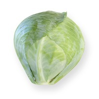 Graines potagères CHOU CABUS STOREMA F1 (Brassica oleracera capitata alba) - Graineterie A. DUCRETTET
