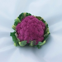 Graines potagères CHOU-FLEUR GRAFFITI F1 (Brassica oleracea botrytis botrytis) - Graineterie A. DUCRETTET