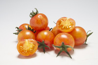  TOMATE CERISE TOMATE CERISE-TROPICALSUN F1 (Solanum lycopersicum)-Graines non traitées - Graineterie A. DUCRETTET