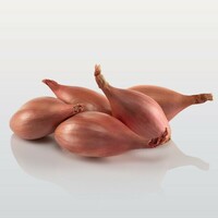 Graines potagères ECHALOTE CONSERVOR F1 (Allium cepa) - Graineterie A. DUCRETTET