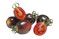  TOMATE CERISE TOMATE CERISE-NIGHTSHADE F1 (Solanum lycopersicum)-Graines non traitées - Graineterie A. DUCRETTET