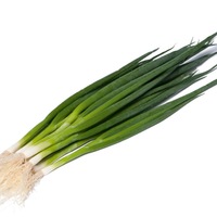  OIGNON BUNCHING OIGNON BUNCHING-TYCOON F1 (Allium cepa)-Graines calibrées traitées - Graineterie A. DUCRETTET
