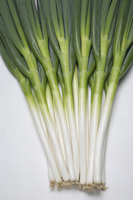 Graines potagères OIGNON BUNCHING ETAPPE F1 (Allium cepa) - Graineterie A. DUCRETTET