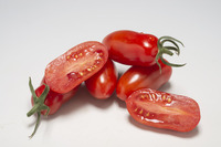  TOMATE CERISE TOMATE CERISE-AMIROU (Solanum lycopersicum)-Graines non traitées - Graineterie A. DUCRETTET