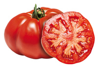  TOMATE CÔTELEE TOMATE CÔTELEE-MARMANDE sélection ADOUR (Solanum lycopersicum)-Graines non traitées - Graineterie A. DUCRETTET