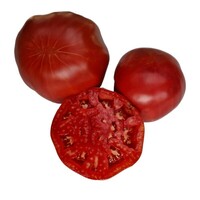 Graines potagères TOMATE RONDE PONDEROSA sélection PINKY (Solanum lycopersicum) - Graineterie A. DUCRETTET