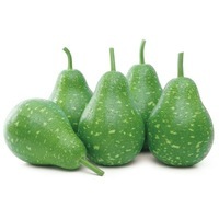 Graines potagères COLOQUINTES A GROS FRUITS GOOSE - Graineterie A. DUCRETTET