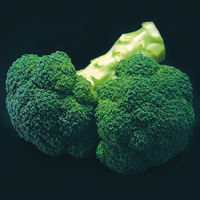 Graines potagères CHOU BROCOLI POSEIDON F1 (Brassica oleracera botrytis cymosa) - Graineterie A. DUCRETTET