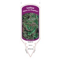 chromos CHROMOS PLANTS POTAGERS L - Laitue - Graineterie A. DUCRETTET