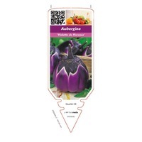chromos CHROMOS PLANTS POTAGERS A - Absinthe à Aubergine - Graineterie A. DUCRETTET