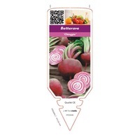 chromos CHROMOS PLANTS POTAGERS B - Basilic - Betterave - Bourrache - Graineterie A. DUCRETTET