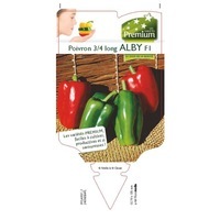 chromos CHROMOS PLANTS POTAGERS Gamme PREMIUM - Graineterie A. DUCRETTET