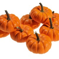 Graines potagères COURGE HALLOWEEN JILL BE LITTLE - Graineterie A. DUCRETTET