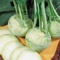 Graines potagères CHOU RAVE BIO blanc NORIKO F1 - Graineterie A. DUCRETTET