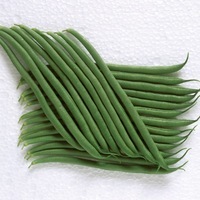 Graines potagères HARICOT A RAMES MANGETOUT MATILDA - Graineterie A. DUCRETTET