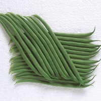 Graines potagères HARICOT A RAMES MANGETOUT MATILDA - Graineterie A. DUCRETTET