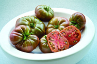 Graines potagères TOMATE CÔTELEE MARNERO F1 (Solanum lycopersicum) - Graineterie A. DUCRETTET