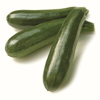  COURGETTE verte cylindrique COURGETTE verte cylindrique-PARTENON F1 (Cucurbita pepo)-Graines non traitées - Graineterie A. DUCRETTET