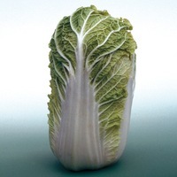 Graines potagères CHOUX ASIATIQUES DIVERS BIO KABOKO F1 (Brassica campestris narinosa) - Graineterie A. DUCRETTET