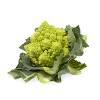 Graines potagères CHOU ROMANESCO PUNTOVERDE F1 - Graineterie A. DUCRETTET