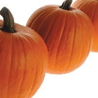 Graines potagères COURGE HALLOWEEN JACK ALL TRADES - Graineterie A. DUCRETTET
