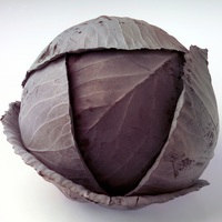 Graines potagères CHOU ROUGE FUTURIMA F1 - Graineterie A. DUCRETTET