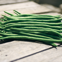 Graines potagères HARICOT A RAMES MANGETOUT ALMENA - Graineterie A. DUCRETTET