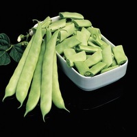 Graines potagères HARICOT NAIN MANGETOUT NASSAU (Phaseolus vulgaris) - Graineterie A. DUCRETTET