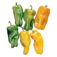 Graines potagères POIVRON de diversité BIO Petit marseillais (CAPSICUM ANNUUM) - Graineterie A. DUCRETTET