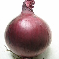 Graines potagères OIGNON ROLEIN rempl par RED BARON (ALLIUM CEPA) - Graineterie A. DUCRETTET