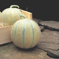 Graines potagères MELON DIEGO F1 - Graineterie A. DUCRETTET