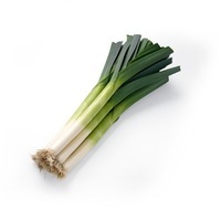 Graines potagères POIREAU hybride F1 BIO PLUSTON F1 - Graineterie A. DUCRETTET