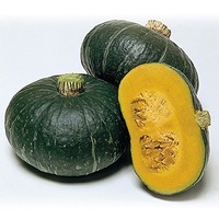 Graines potagères COURGE POTIMARRON BLEU SWEET MAMA F1 (Cucurbita Maxima) - Graineterie A. DUCRETTET