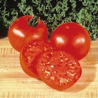  TOMATE RONDE TOMATE RONDE-SUPERSTEAK F1 (Solanum lycopersicum)-Graines non traitées - Graineterie A. DUCRETTET