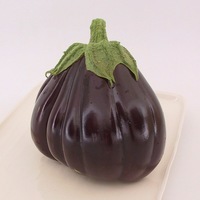 Graines potagères AUBERGINE Black Beauty (Solanum melongena) - Graineterie A. DUCRETTET