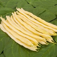Graines potagères HARICOT A RAMES MANGETOUT BIO NECKARGOLD - Graineterie A. DUCRETTET