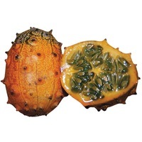 Graines potagères METULON KIWANO (Concombre porte-corne) (CUCUMIS METULIFER) - Graineterie A. DUCRETTET