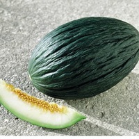  MELON MELON-Espagnol d'hiver (Vert olive d'hiver) (Cucumis melo)-Graines non traitées - Graineterie A. DUCRETTET