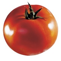 Graines potagères TOMATE RONDE BRENTYLA F1 - Graineterie A. DUCRETTET