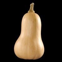 Graines potagères COURGE BUTTERNUT HUNTER F1 - Graineterie A. DUCRETTET
