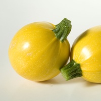 Graines potagères COURGETTE ronde BIO FLORIDOR F1 - Graineterie A. DUCRETTET