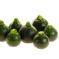 Graines potagères COURGETTE ronde EIGHT BALL F1 (Cucurbita pepo) - Graineterie A. DUCRETTET