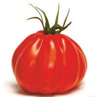 Graines potagères TOMATE CÔTELEE CORAZON F1 (Solanum lycopersicum) - Graineterie A. DUCRETTET
